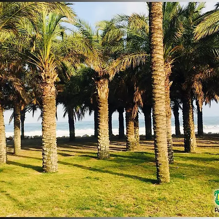 Palmeras Del Golf - Torrequebrada Apartamento