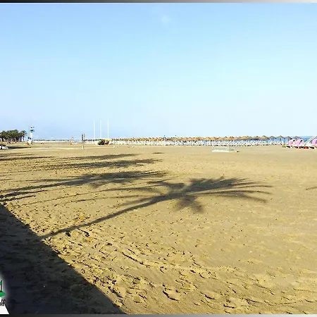 Palmeras Del Golf - Torrequebrada